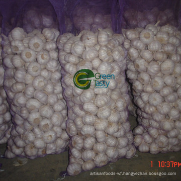 Fresh New Crop Chinese Pure White Garlic